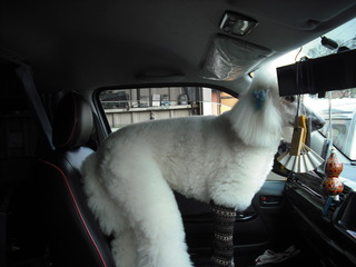 DSCF0956.JPG